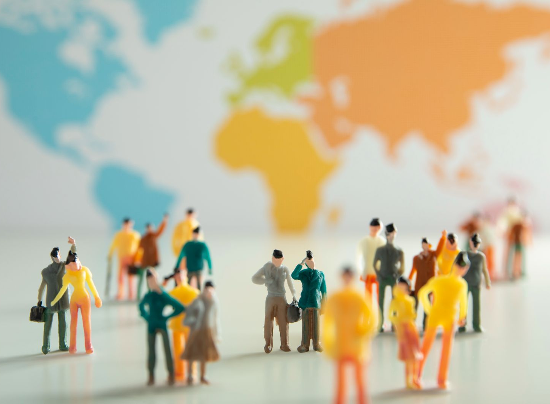 WhatsApp Image 2026-01-05 at 1.38.22 PM (1) 1 (2)